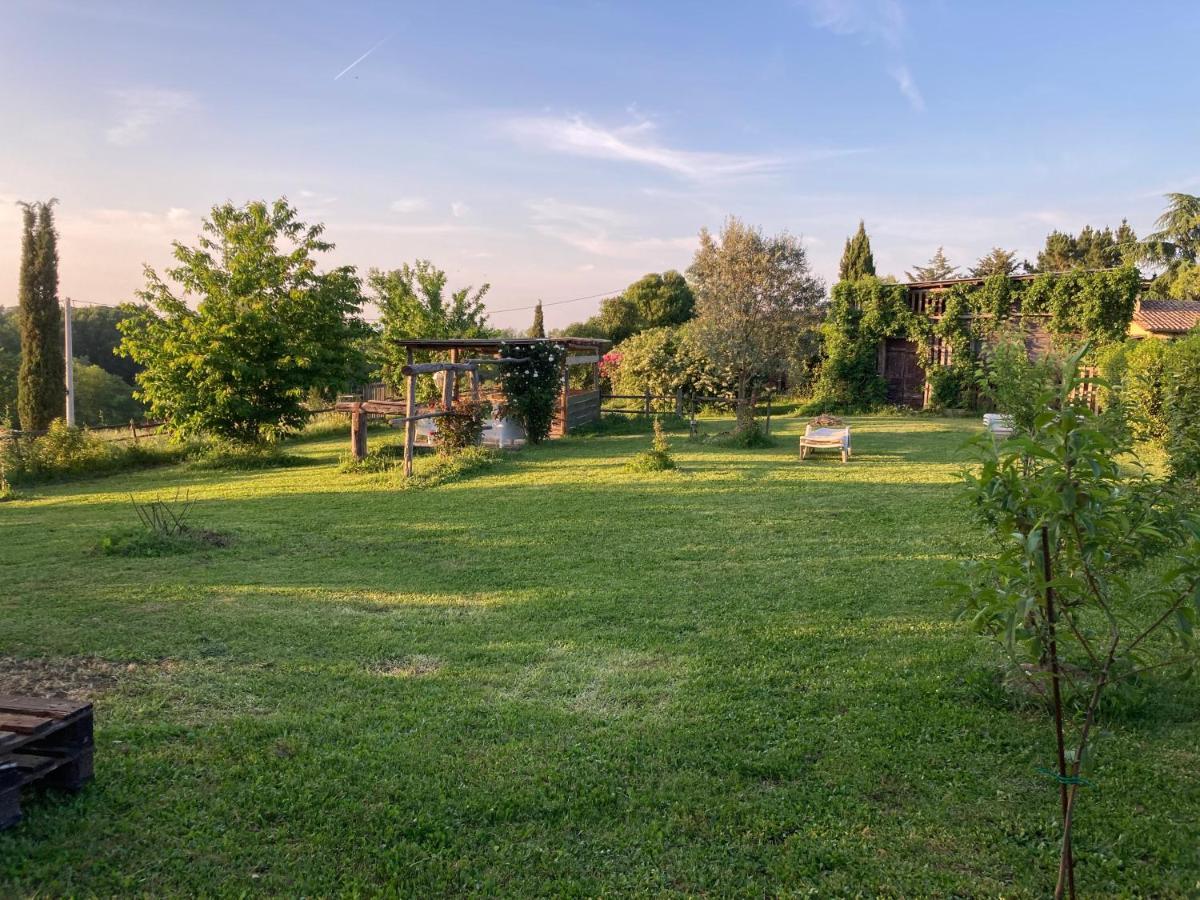 Podere Delle Rose Torre San Severo Buitenkant foto